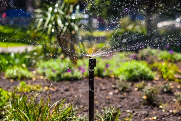 Ein Sprinkler versprüht Wasser über ein Blumenbeet.